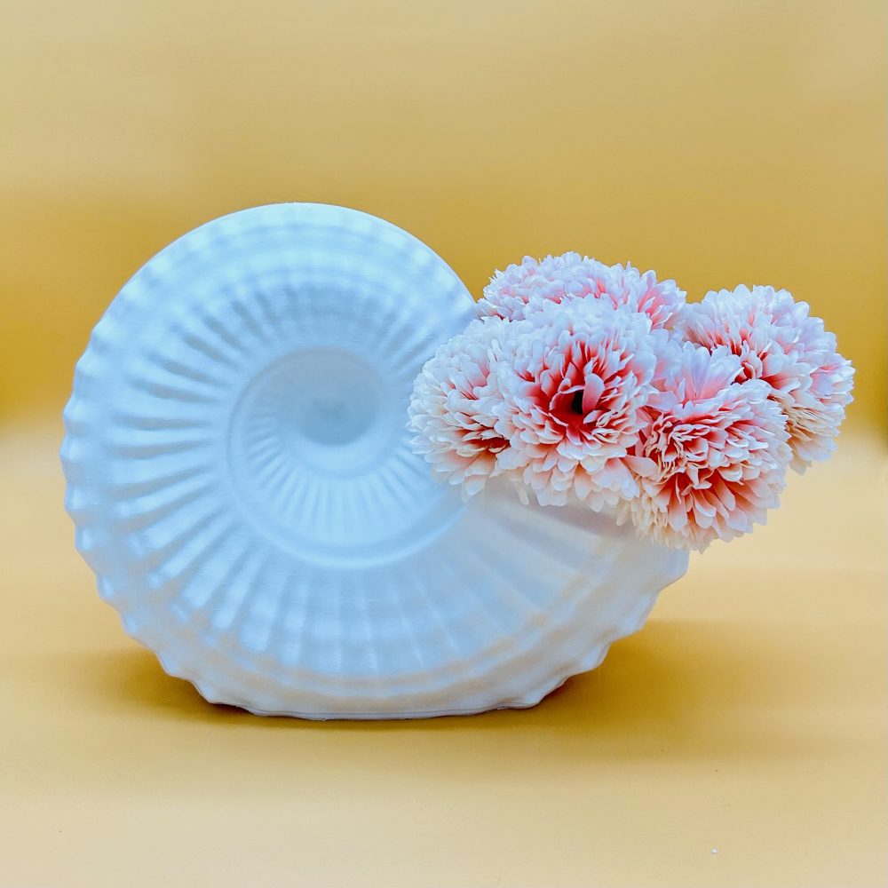 Caracola decorativa. Jarrón decorativo.