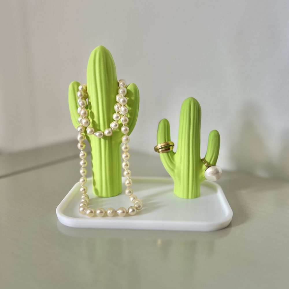 Joyero cactus