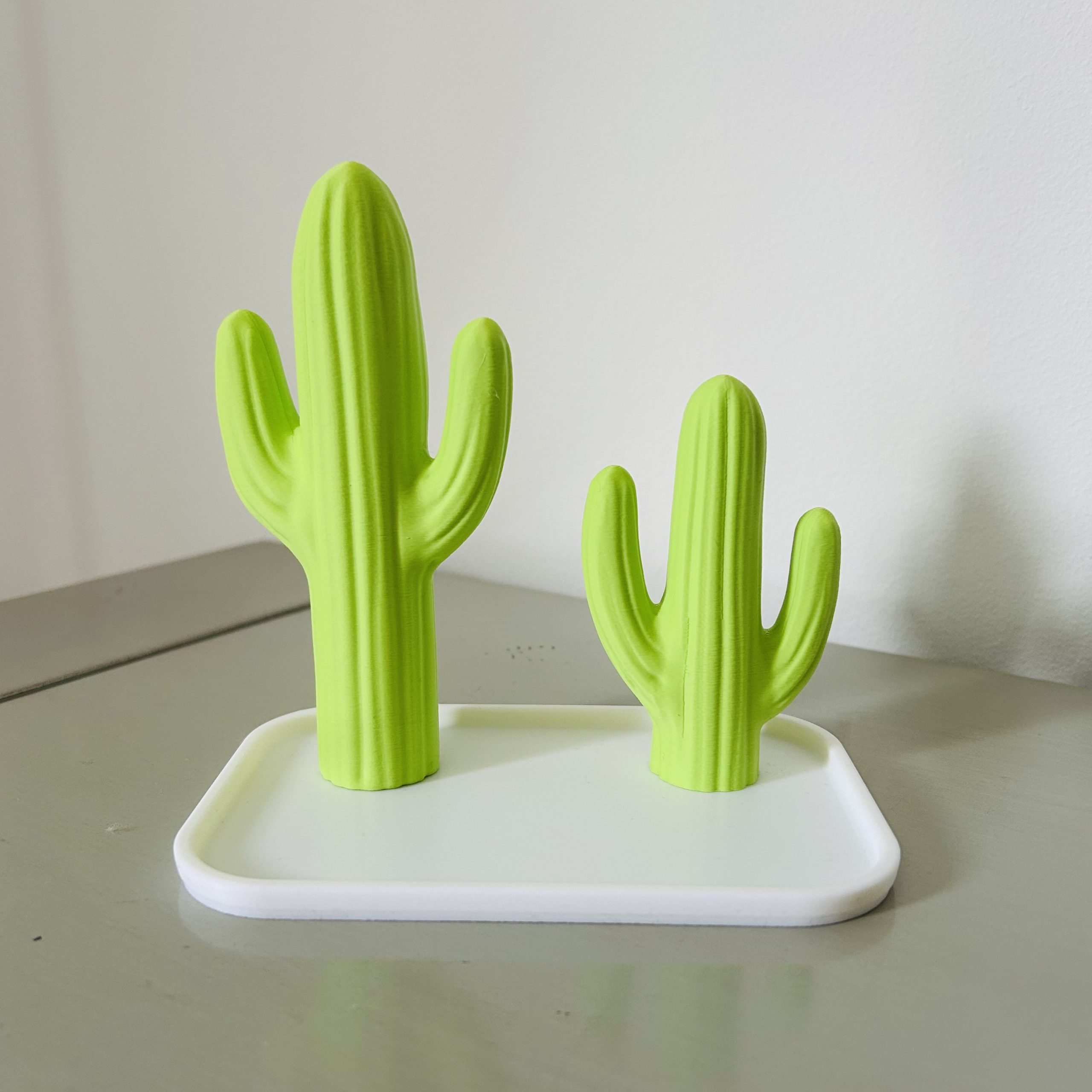 Joyero cactus